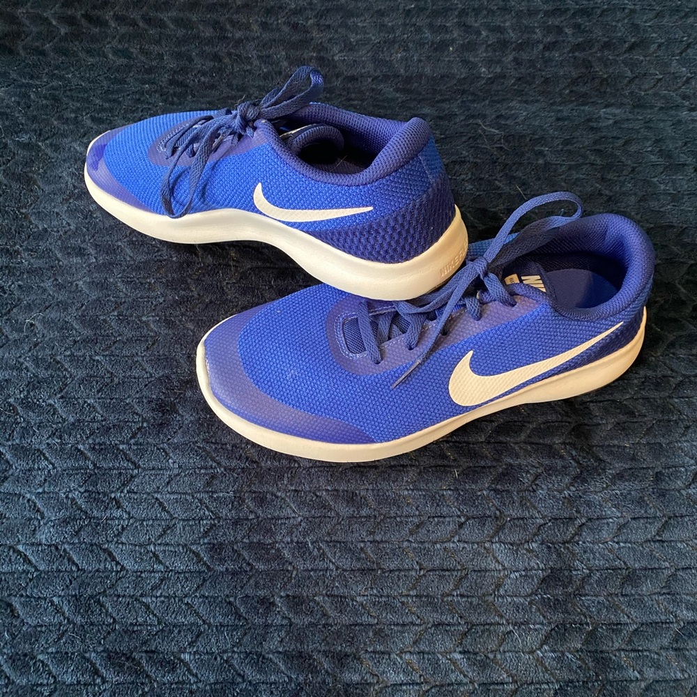 Nike Flex Shoes